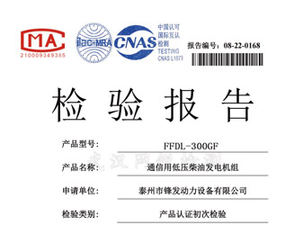 玉柴300KW檢驗報告 檢測報告