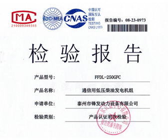 250KW東康檢驗報告 檢測報告