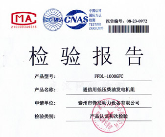 1000KW重康檢驗報告 檢測報告